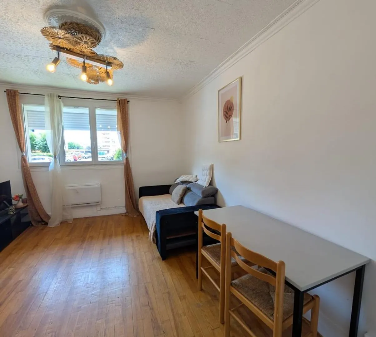 Apparemment T3 Apartment Roanne